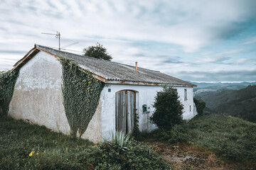 Old rural farmhouse with weathered white walls, ivy climbing facade, wooden doors, overgrown plants...