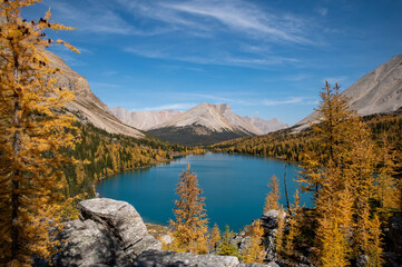Fototapeta premium autumn in the mountains
