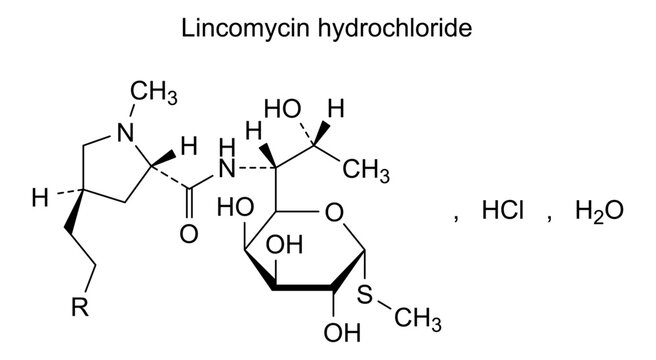 Chemical structure of lincomycin hydrochloride, drug substance