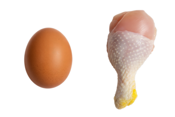 A raw brown chicken egg is presented alongside a fresh chicken drumstick, isolated on a stark black background, ideal as a Transparent PNG for National Chicken Month.