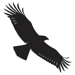 Hawk diving silhouette