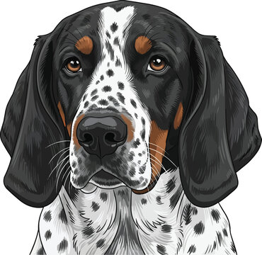 Ariegeois dog face headshot portrait cute vector illustration