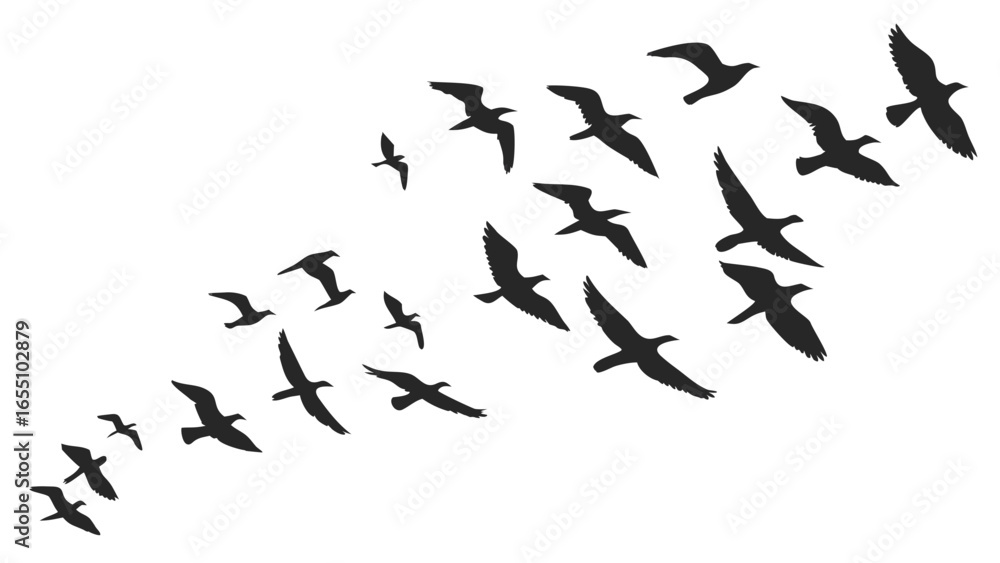 Poster silhouette illustration of a flock of birds in flight against a white background in a diagonal patte