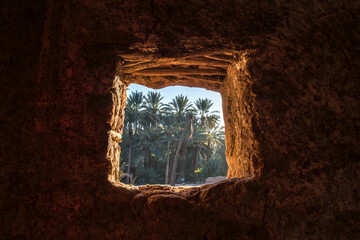 AlUla - Landscape - Oasis (Saudi Arabia)