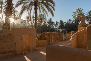 AlUla - Landscape - Oasis (Saudi Arabia)