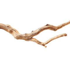 Thin driftwood branch with smooth curves. Isolated white background. Png format