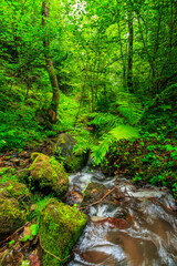 Picture of the Aguzou stream in the mountains of southern France with small waterfalls, rocks, forest and green vegetation. Very close to the small village of Escouloubre in the Pyrenees Mountains
