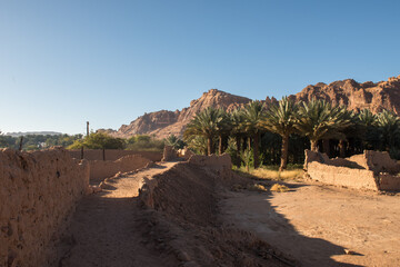 AlUla - Landscape - Oasis (Saudi Arabia)