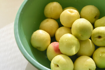 A ripe yellow plum in a green basin. Juicy fruit. Ripe plums in drops of water.