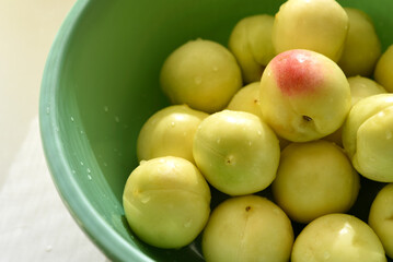 A ripe yellow plum in a green basin. Juicy fruit. Ripe plums in drops of water.