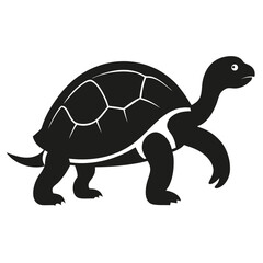 funny turtle cartoon