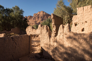AlUla - Landscape - Oasis (Saudi Arabia)