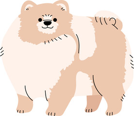 pomeranian dog breed puppy animal clipart
