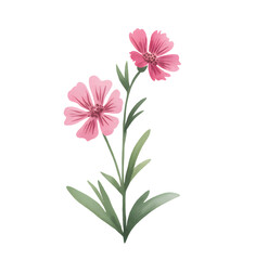 Hand painted botanical sprigs of pink wildflowers in watercolor. 