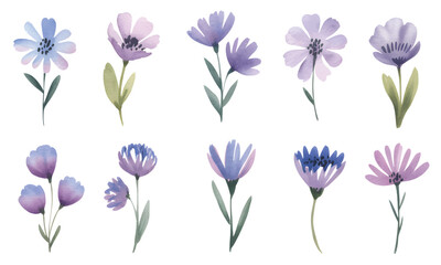 Soft lavender wildflowers in watercolor style set of lilac blossoms with green leaves.
