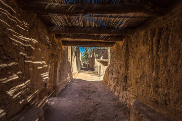 AlUla - Landscape - Oasis (Saudi Arabia)