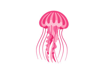 Pink Jellyfish Illustration Aquatic Life Ocean Animal Design.