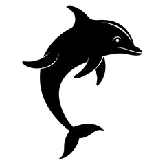 dolphin isolated on white