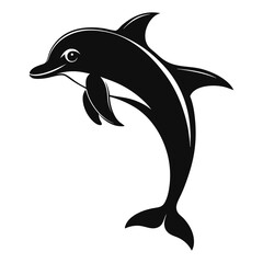 dolphin vector illustration