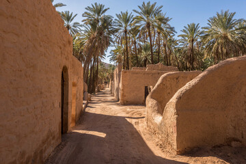 AlUla - Landscape - Oasis (Saudi Arabia)
