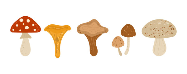 Mushroom clipart set with fly agaric, chanterelle, porcini, morel, and forest fungi in rustic autumn colors. Hand-drawn woodland mushroom illustration, perfect for fall design, forest harvest graphics