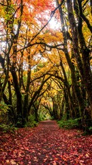 Naklejka premium Autumnal forest path (1)