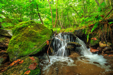Picture of the Aguzou stream in the mountains of southern France with small waterfalls, rocks,...