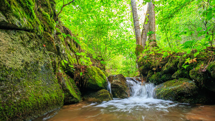 Obraz premium Picture of the Aguzou stream in the mountains of southern France with small waterfalls, rocks, forest and green vegetation. Very close to the small village of Escouloubre in the Pyrenees Mountains 