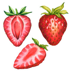 A set of ripe and juicy strawberries. Whole strawberries and halves of berries. watercolor illustration Strawberries with cut in half isolated. Ripe sliced strawberries for tea, jam or cosmetics label