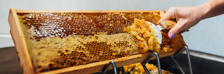 Honeycomb Extraction in Wide Banner Format