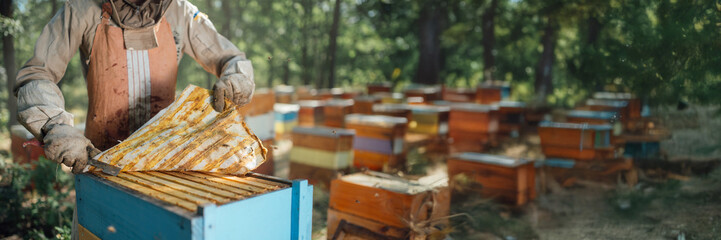 Beekeeper in Apiary Wide Banner with Copy Space
