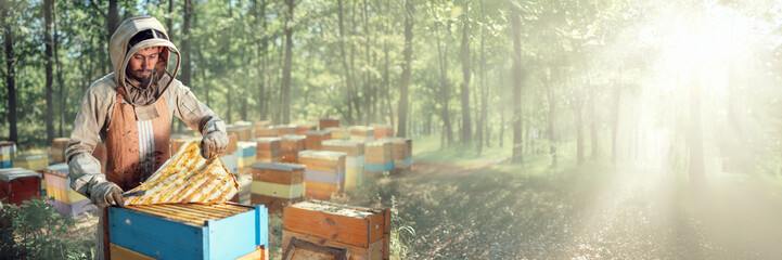 Beekeeper Inspecting Hive in Forest Wide Banner with Copy Space