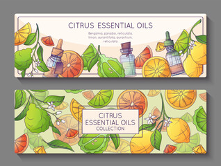 Horizontal banner template with illustration of citrus fruits, essential oil bottles. Vector background for promo banner, cosmetic flyer, aromatherapy. Orange, bergamot, lemon illustration.