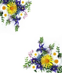 Beautiful bouquet with wildflowers on a white background.