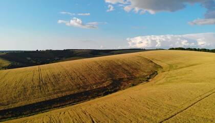 Expansive golden field slopes gently upward under a partly cloudy, vibrant blue sky.