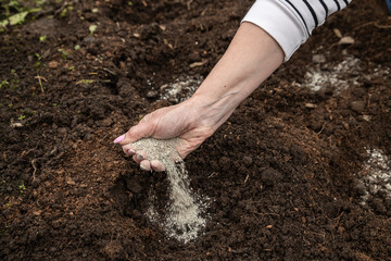 Female farmer fertilizing soil with organic crystalline fertilizer. Gardening and farming.