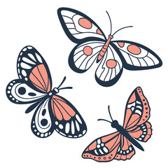 set of vector butterflies