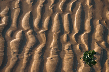 Sea sand beach pattern texture