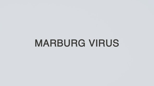 Marburg Virus word diagnosed with a stethoscope held in hand on a white background, illustrating infectious disease evaluation, medical assessment, healthcare concept, and patient awareness