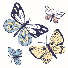 butterfly on white background