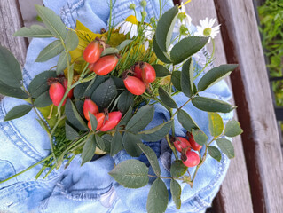 Autumn concept: chamomile flowers and rosehip fruits 
