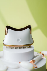 Electronic facial massager with jade roller and gua sha stone