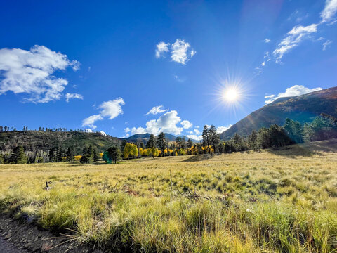 Autumn landscape with mountains and blue sky in Flagstaff Arizona, Inner Basin Trail - Powered by Adobe