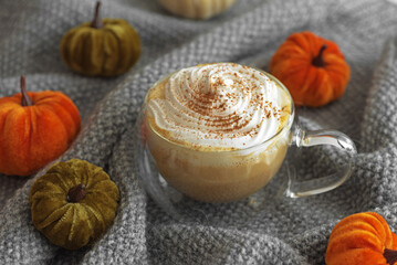 Cozy pumpkin latte with whipped cream and spices on an gray knitted fabric background.