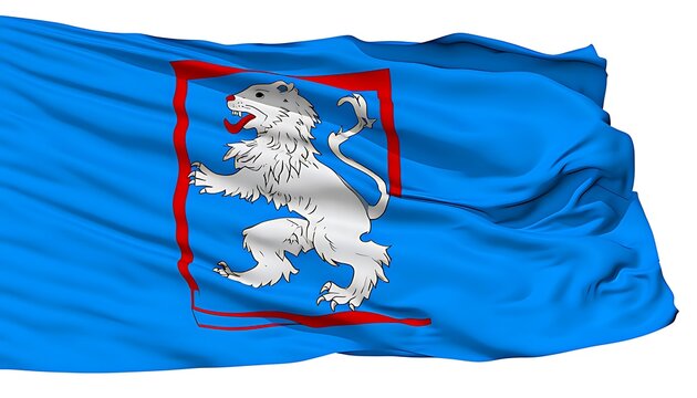 Detailed view of a waving flag with a heraldic design.