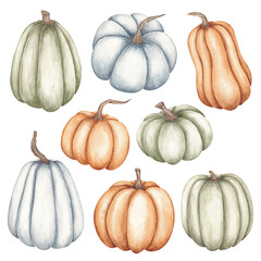 Pumpkins clip art hand drawn by watercolor. Thanksgiving, Halloween traditional symbols. Autumn garden harvest. Blue pumpkins set