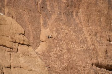 AlUla Archaeology Rock Art (Saudi Arabia)