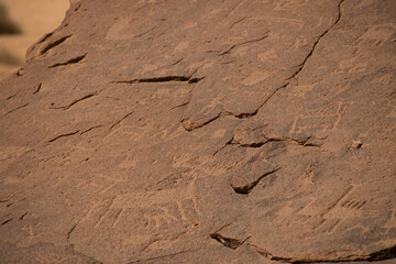 AlUla Archaeology Rock Art (Saudi Arabia)