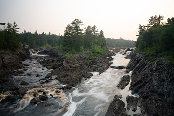Obraz premium Summer at Jay Cooke State Park, forest landscape , Minnesota