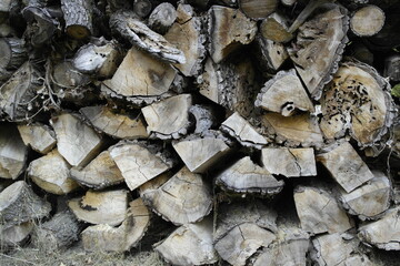 Woodcutter